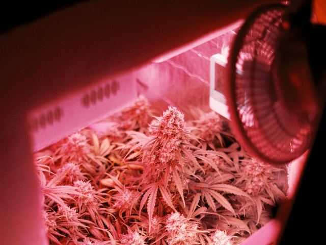 Grow equipment